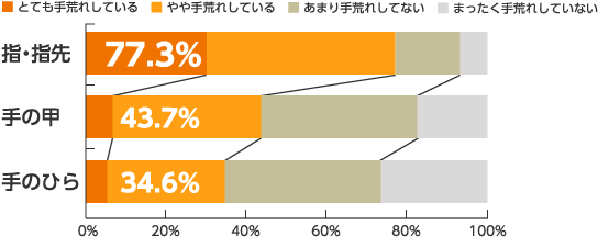 ドクタープログラム ハンドクリームに関するサンプル調査